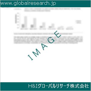 グローバルリサーチ調査資料のイメージ
